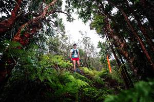 BIB: 
                            <button type="button" onclick="openModal(26202915)" class="btn btn-primary btn-sm float-right btn-popup" data-toggle="modal" data-target=".modal-high-quality">
                        <i class="fas fa-shopping-cart"></i> Add to Cart
                    </button>
                                            <button type="button" onclick="isThisMe(26202915, true)" class="btn btn-success btn-sm float-right btn-popup btn-isme hidden" data-toggle="tooltip" data-placement="bottom" title="นี่คือรูปของคุณใช่ไหม คลิกที่นี่เพื่อเอาเข้าอัลบั้ม">
                        <i class="fas fa-plus"></i> Add to album
                    </button>
                    <button type="button" onclick="isThisMe(26202915, false)" class="btn btn-warning btn-sm float-right btn-popup btn-isnotme hidden">
                        <i class="fas fa-ban"></i> Remove from album
                    </button>